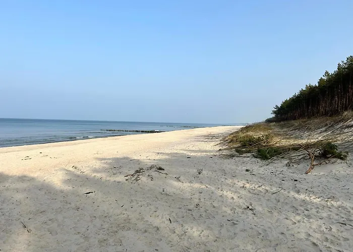 Domki U Sieronia